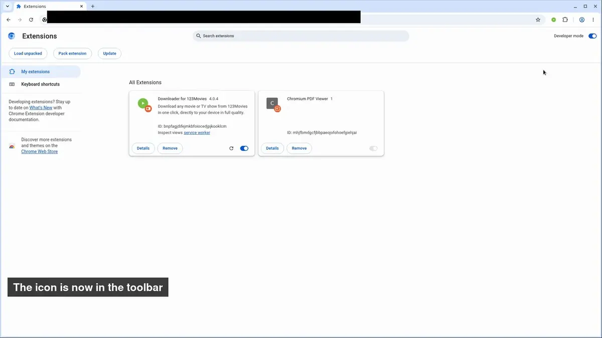 How to install Downloader for 123Movies in Chrome