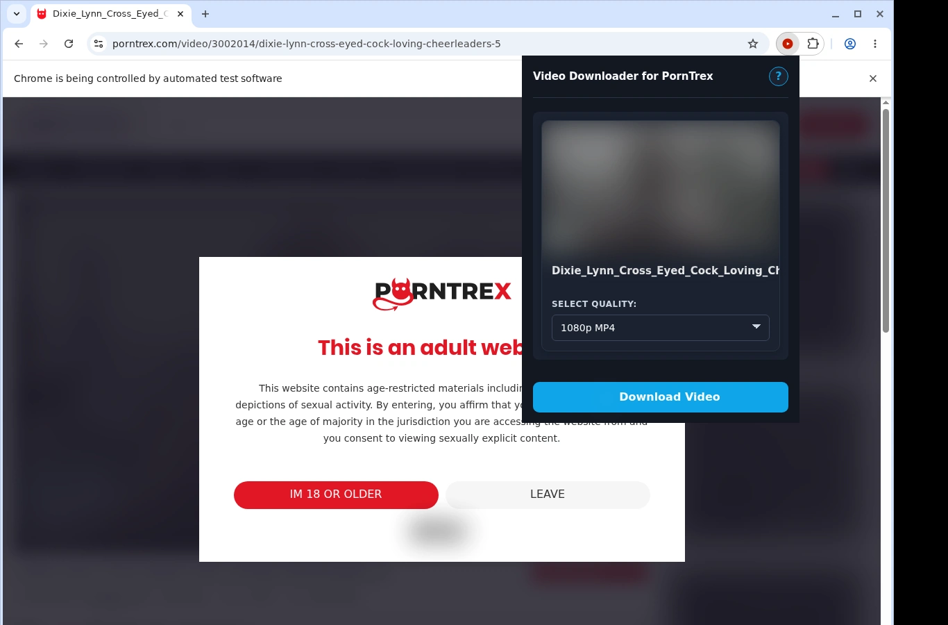 Porn Picture